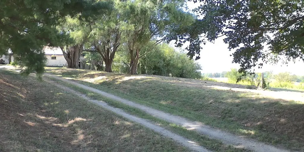 Cleared two-track farm lane after brush work in central Illinois by Foil Land Services