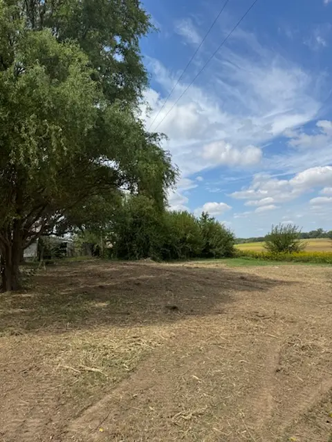 Ground cleared along a tree line in central Illinois by Foil Land Services
